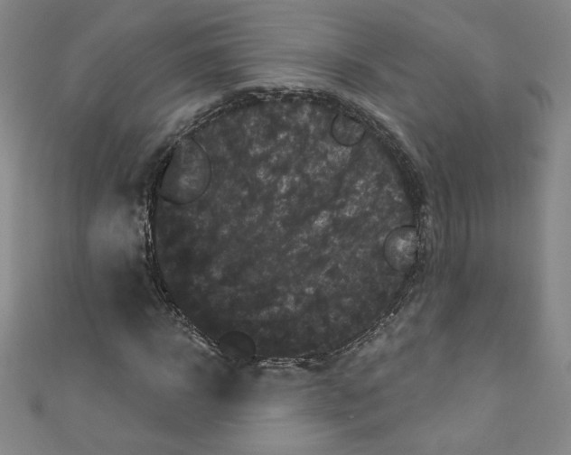 X0000110940918200907171605