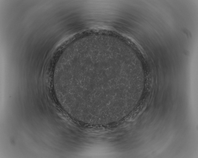 X0000110940919200907171605