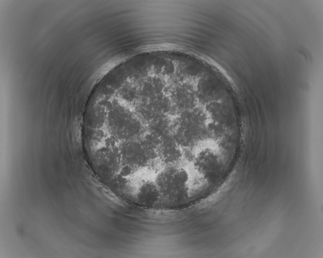 X0000110940921200907171605