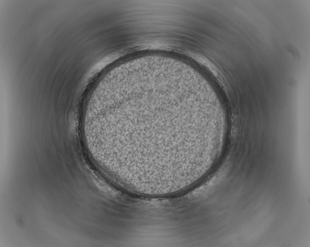 X0000110940922200907171605