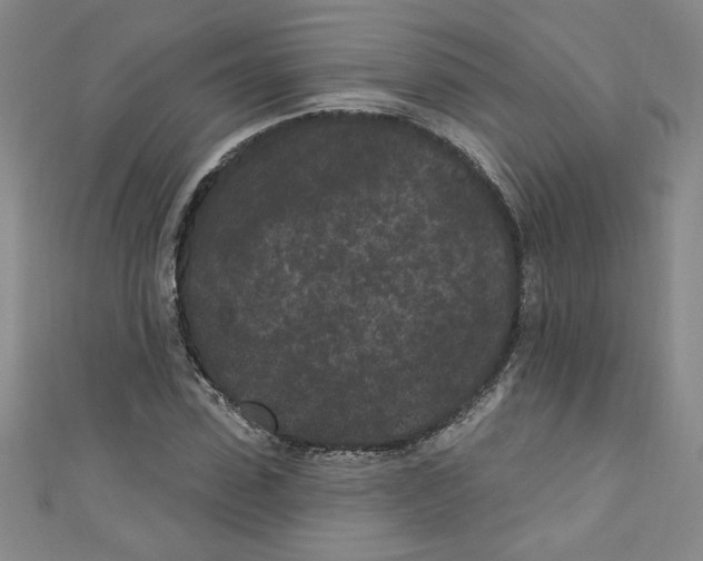 X0000110940923200907171605