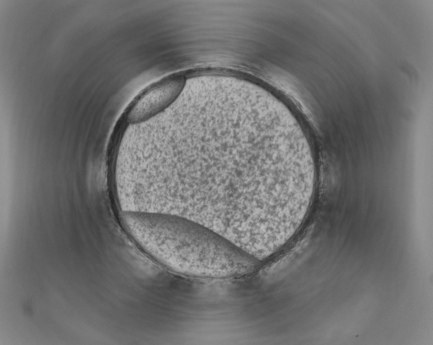 X0000110940924200907171605