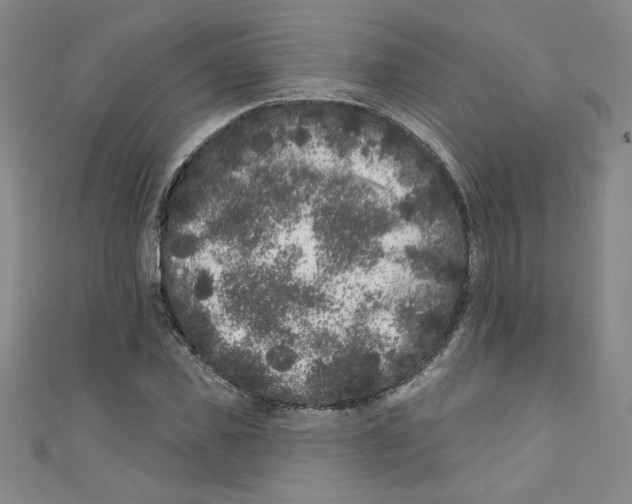 X0000110940925200907171605