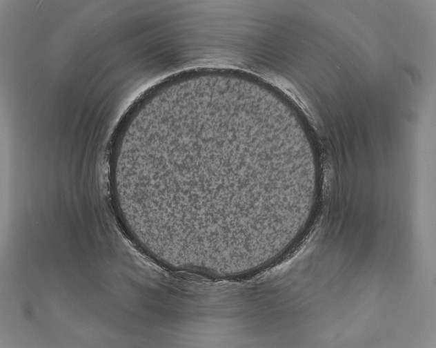 X0000110940926200907171605