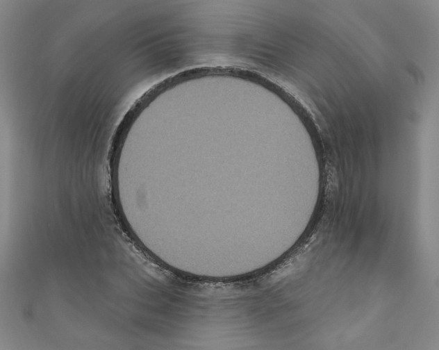 X0000110940927200907171605