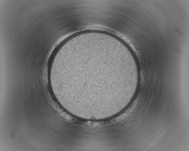 X0000110940931200907171605