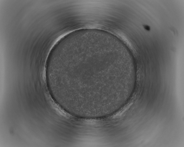X0000110940932200907171605