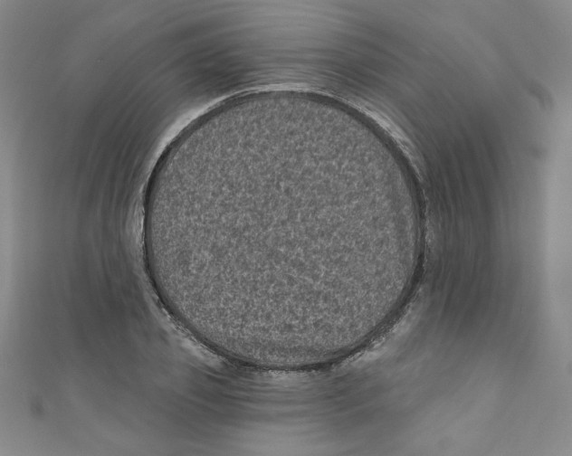 X0000110940933200907171605