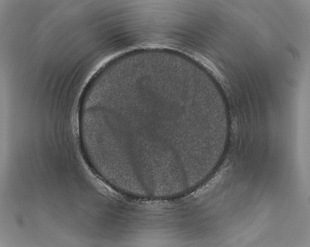 X0000110940934200907171605