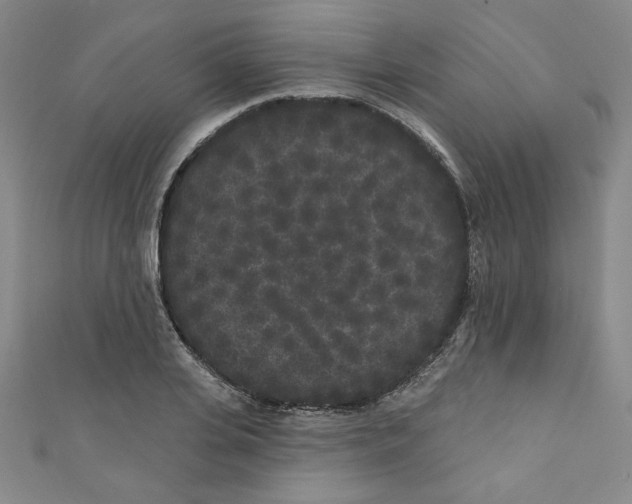 X0000110940935200907171605