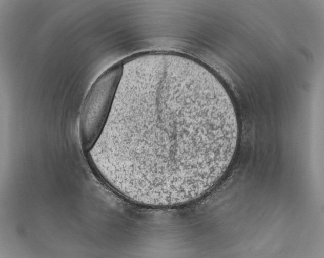 X0000110940936200907171605