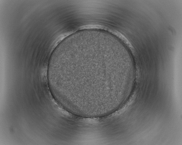 X0000110940937200907171605