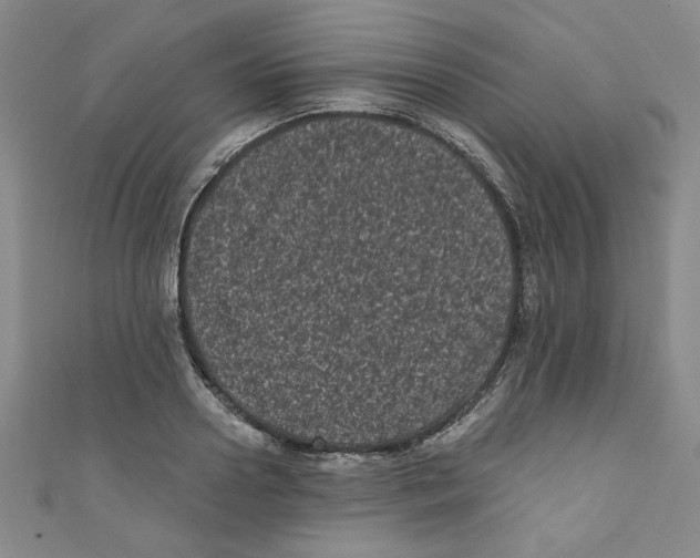 X0000110940938200907171605