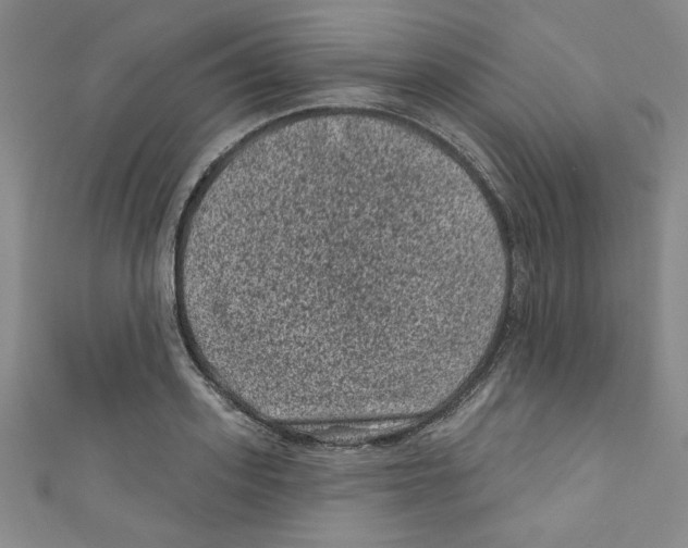 X0000110940939200907171605