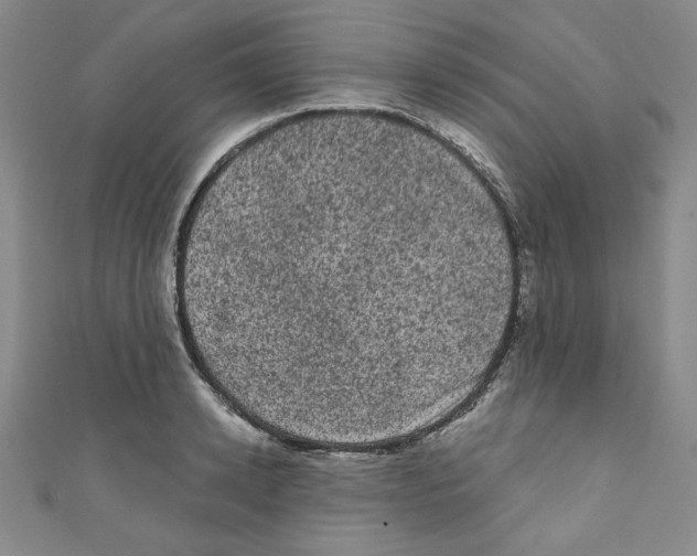 X0000110940942200907171605