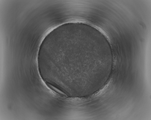 X0000110940943200907171605