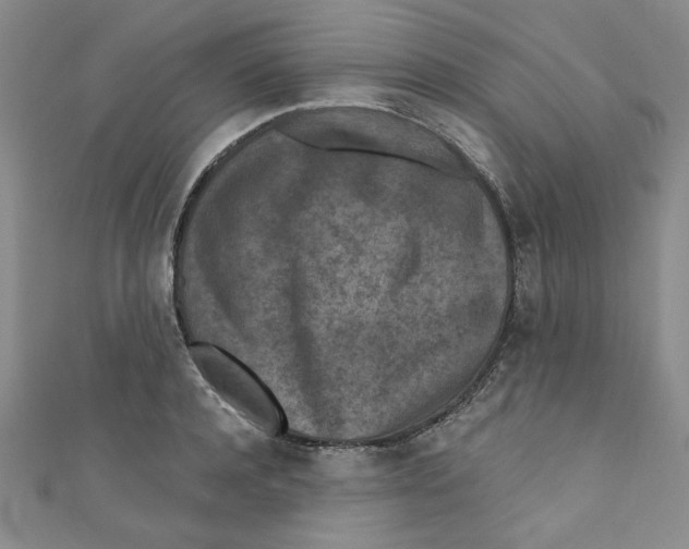 X0000110940944200907171605