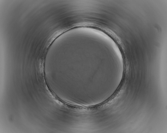 X0000110940945200907171605
