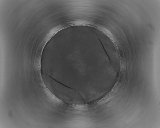 X0000110940946200907171605