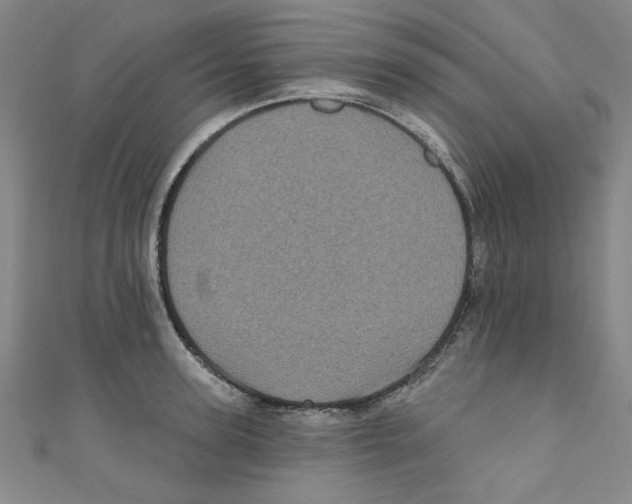 X0000110940947200907171605
