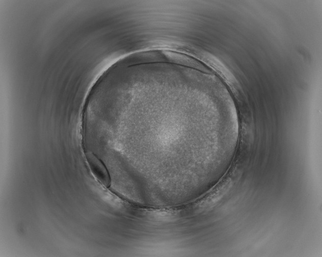 X0000110940948200907171605
