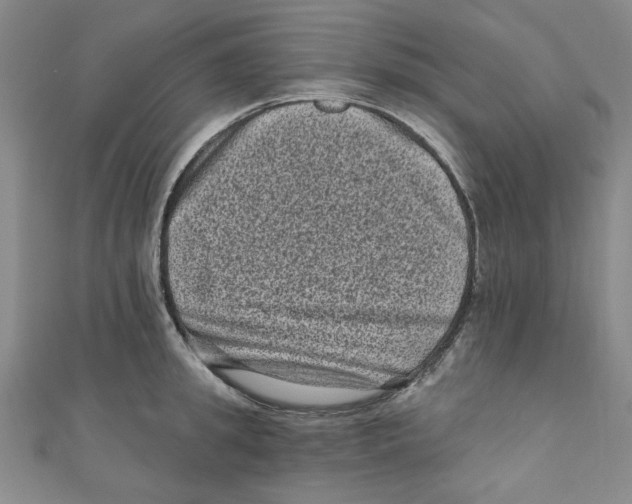 X0000110940949200907171605
