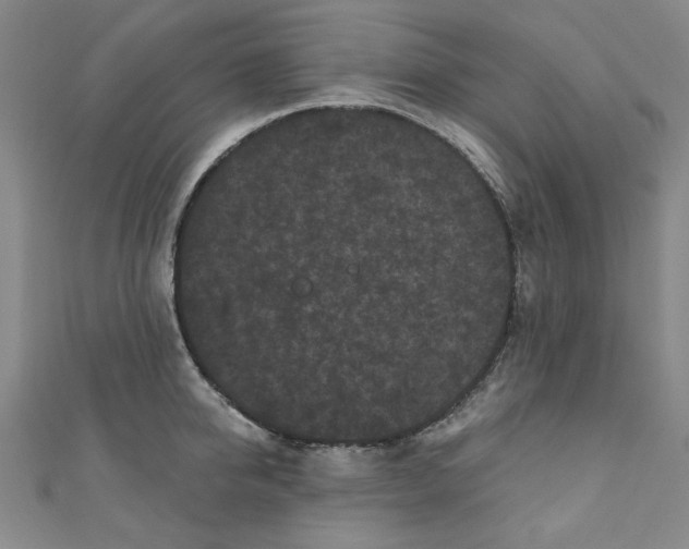 X0000110940950200907171605