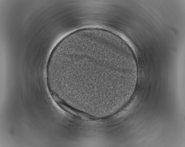 X0000110940951200907171605