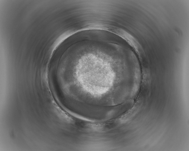 X0000110940952200907171605