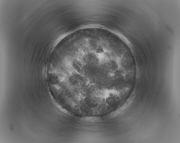 X0000110940953200907171605