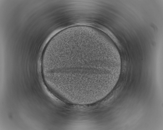 X0000110940955200907171605
