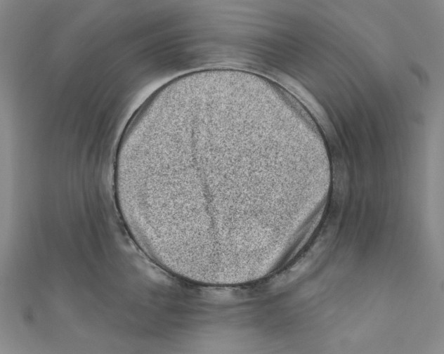 X0000110940956200907171605