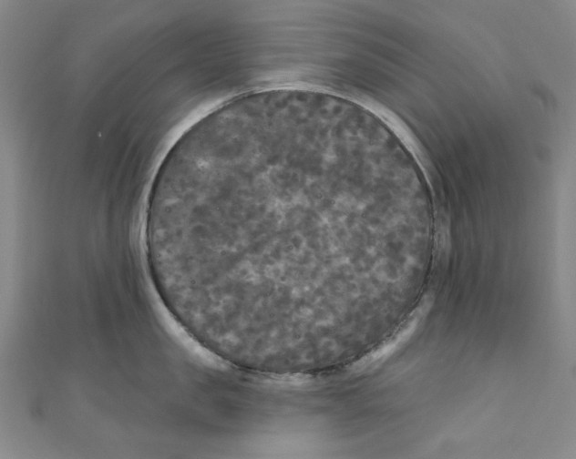 X0000110940957200907171605