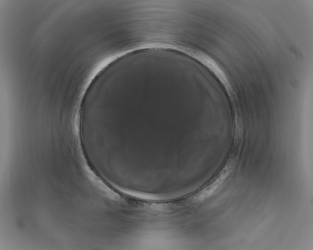 X0000110940958200907171605