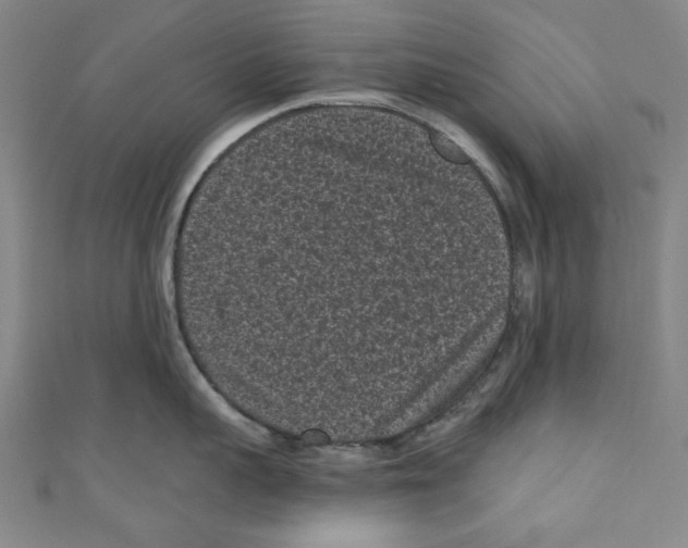 X0000110940959200907171605
