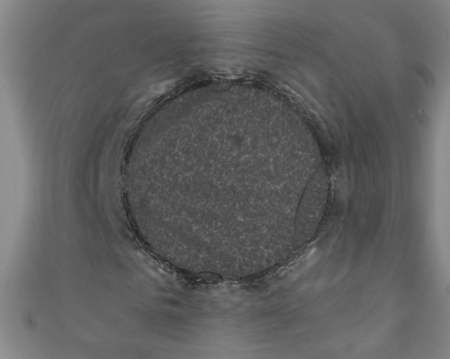 X0000110940961200907171605