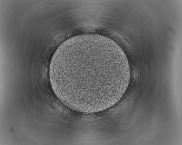 X0000110940964200907171605
