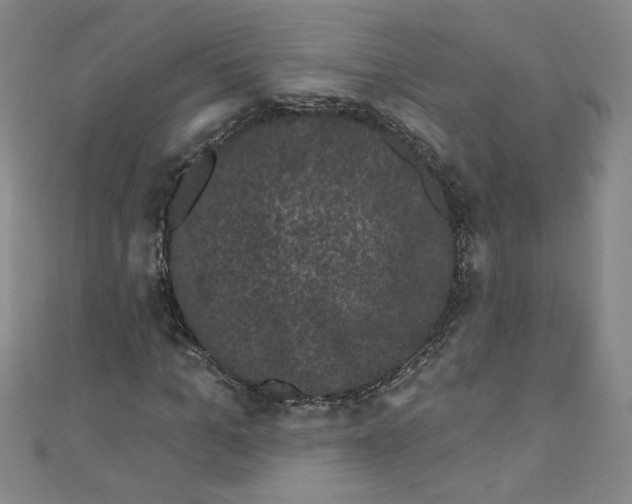 X0000110940965200907171605
