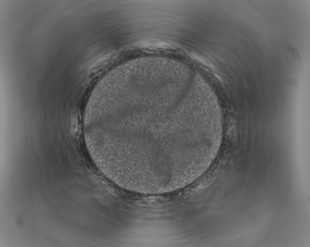 X0000110940966200907171605