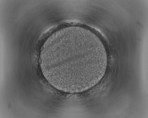 X0000110940967200907171604