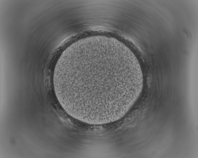 X0000110940968200907171604