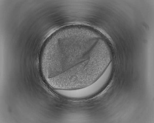 X0000110940969200907171604