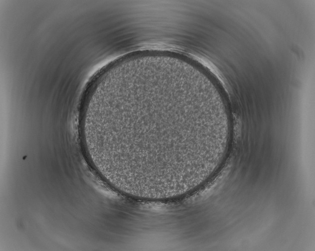 X0000110940971200907171604
