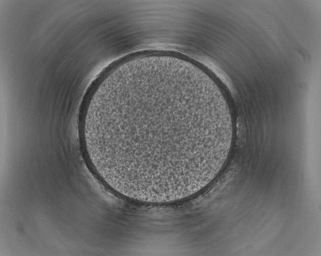 X0000110940972200907171604