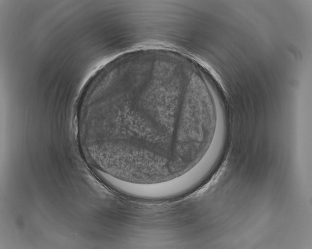 X0000110940973200907171604