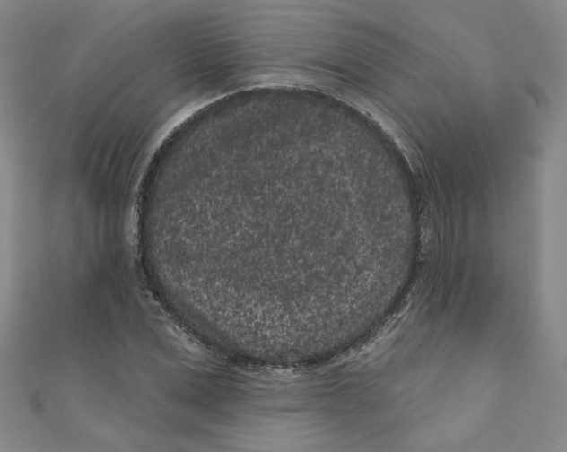 X0000110940975200907171604