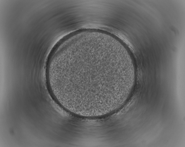 X0000110940976200907171604