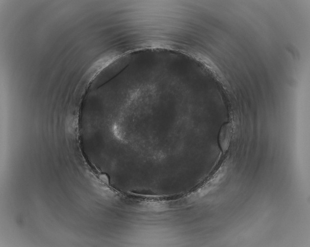 X0000110940977200907171604