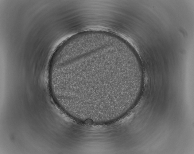 X0000110940979200907171604