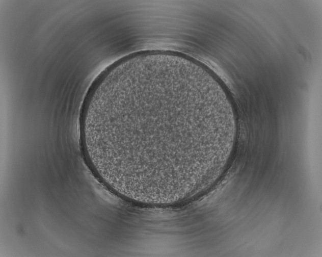 X0000110940980200907171604